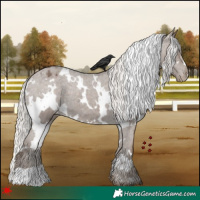 Horse Color:White Spotted Silver Black Varnish 