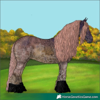 Horse Color:Watercolor Chestnut Ice 