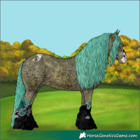 Horse Color:Watercolor Bay Ice Appaloosa