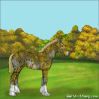 Horse Color:Watercolor Liver Red Onyx Ice