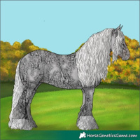 Horse Color:Chocolate Silver Classic Champagne Chinchilla Ice