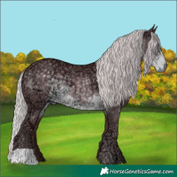 Horse Color:Chocolate Silver Smoky Black Chinchilla Ice 