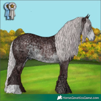 Horse Color:Chocolate Silver Smoky Black Chinchilla Ice 