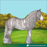 Horse Color:Chocolate Silver Black Chinchilla Sabino 