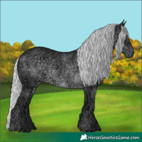 Horse Color:Silver Black Chinchilla Ice 