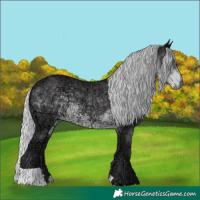 Horse Color:Silver Smoky Black Chinchilla Ice