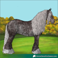 Horse Color:Chocolate Silver Black Chinchilla Ice 