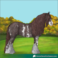Horse Color:Chocolate Smoky Black Chinchilla Ice Sabino