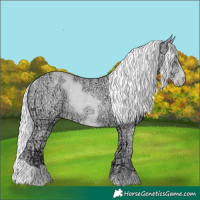 Horse Color:Silver Smoky Creme Chinchilla Ice Rabicano 