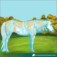 Horse Color:Thunderstruck Palomino Splash Frame 