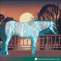 Horse Color:Thunderstruck Blue Roan