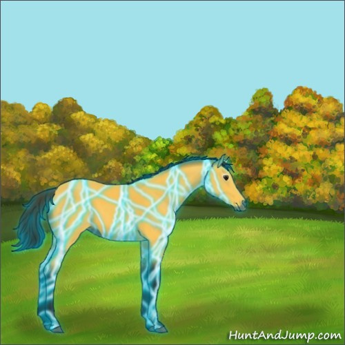 Horse Color:Gray Thunderstruck Buckskin 