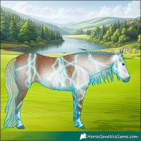 Horse Color:Gray Thunderstruck Chestnut