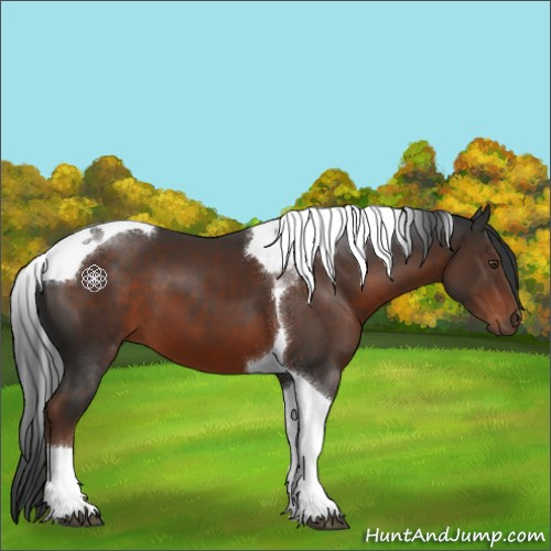 Horse Color:Liver Chestnut Tobiano 