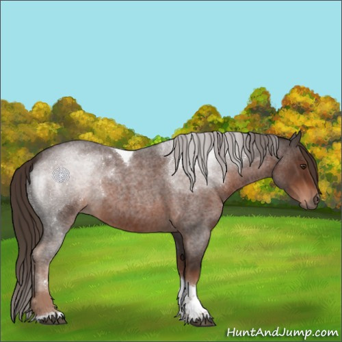 Horse Color:Liver Red Roan Tobiano 