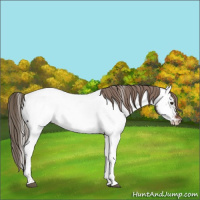 Horse Color:Liver Chestnut Tobiano Near Fewspot 