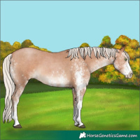Horse Color:White Spotted Silver Brown Pearl 