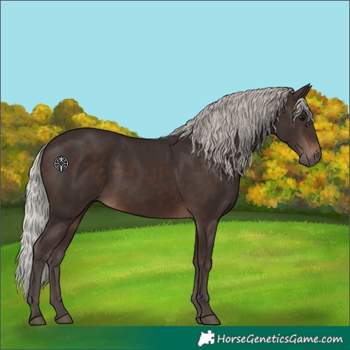 Horse Color:White Spotted Silver Brown 