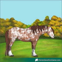 Horse Color:White Spotted Chocolate Bay Ice Splash 