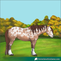 Horse Color:White Spotted Chocolate Bay Ice Splash