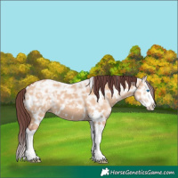 Horse Color:White Spotted Chocolate Bay Ice Dun Splash 