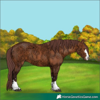 Horse Color:Chocolate Bay Ice