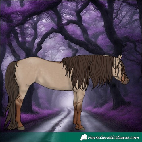 Horse Color:White Spotted Liver Red Dun Rabicano 