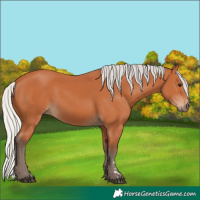 Horse Color:Silver Bay 