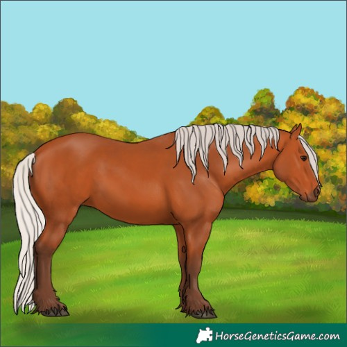 Horse Color:Silver Bay 