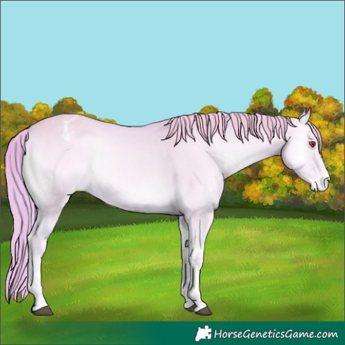 Horse Color:Watercolor White Spotted Liver Red Onyx Chinchilla Sabino Varnish
