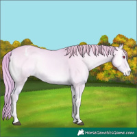 Horse Color:Watercolor White Spotted Liver Red Onyx Chinchilla Sabino Appaloosa 
