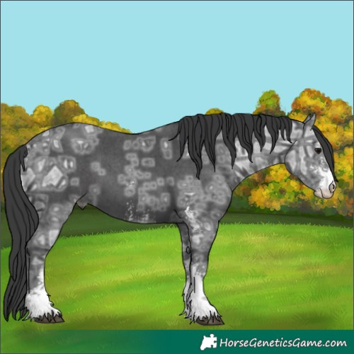 Horse Color:Black Ice Sabino 