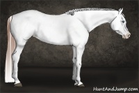 Horse Color:Chestnut Splash Snowcap 