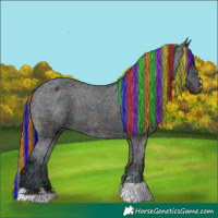 Horse Color:Painted Midnight Black Ice Varnish 