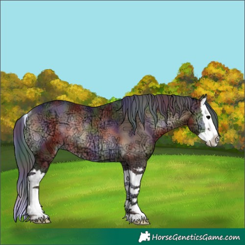 Horse Color:Nacre Brown Ice Onyx Splash Rabicano 