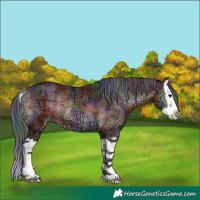 Horse Color:Nacre Brown Ice Onyx Splash Rabicano 