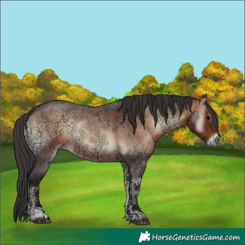 Horse Color:Brown Ice Roan Onyx 