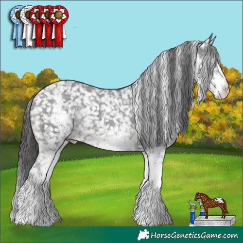 Horse Color:White Spotted Black Appaloosa 