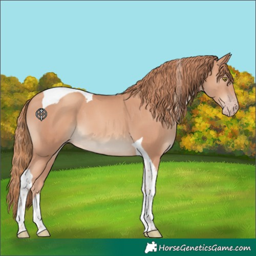 Horse Color:Gold Champagne Tobiano 