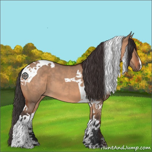 Horse Color:Bay Dun Tobiano 
