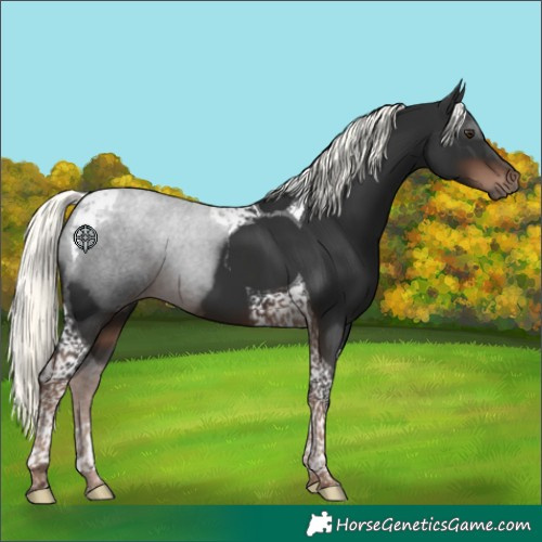 Horse Color:Liver Chestnut Mushroom Tobiano 