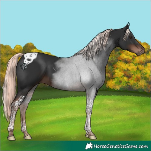 Horse Color:Liver Chestnut Mushroom Tobiano 