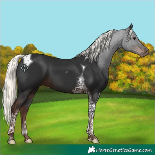 Horse Color:Liver Chestnut Mushroom Tobiano 