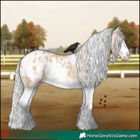 Horse Color:White Spotted Silver Bay Dun Splash Appaloosa 