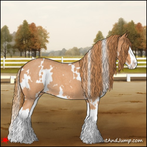 Horse Color:White Spotted Red Roan Splash 