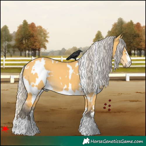 Horse Color:White Spotted Silver Buckskin Dun 