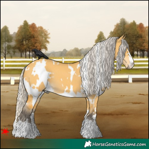 Horse Color:White Spotted Silver Buckskin Dun 