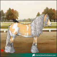 Horse Color:White Spotted Silver Buckskin Dun
