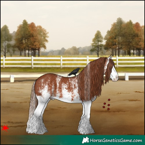 Horse Color:White Spotted Chestnut Splash 