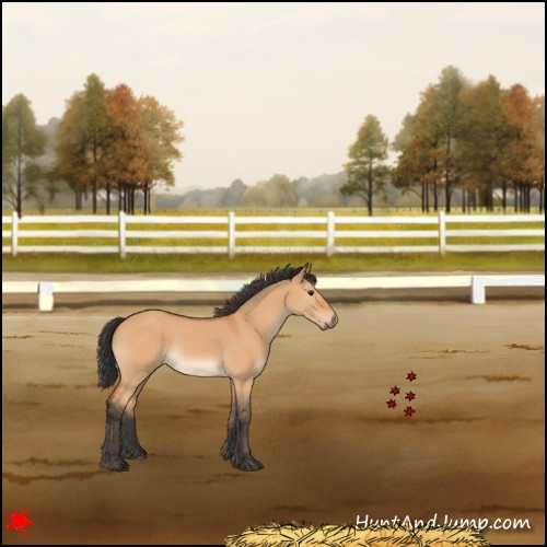 Horse Color:Bay Dun